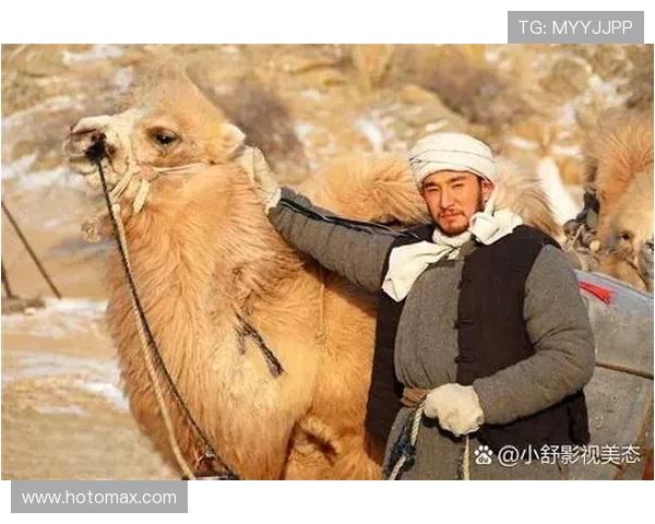 《大盛魁》:一部波澜壮阔的晋商史诗,穿越时空的商业传奇 《大盛魁》:一部波澜壮阔的晋商史诗,穿越时空的商业传奇